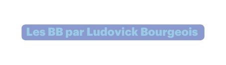 Les BB par Ludovick Bourgeois